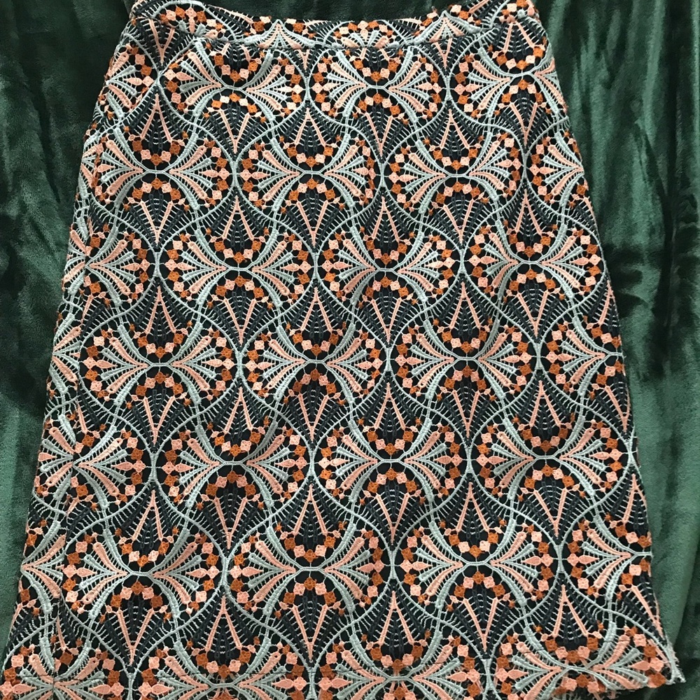 Anthropologie skirt